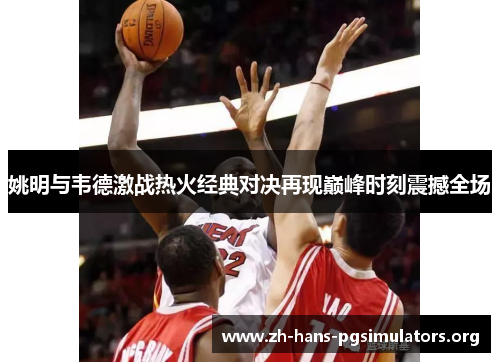 姚明与韦德激战热火经典对决再现巅峰时刻震撼全场
