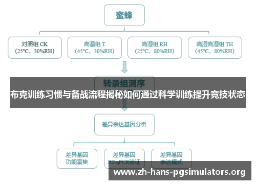 布克训练习惯与备战流程揭秘如何通过科学训练提升竞技状态 布克训练习惯与备战流程揭秘如何通过科学训练提升竞技状态