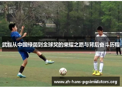 武磊从中国绿茵到金球奖的荣耀之路与背后奋斗历程 武磊从中国绿茵到金球奖的荣耀之路与背后奋斗历程