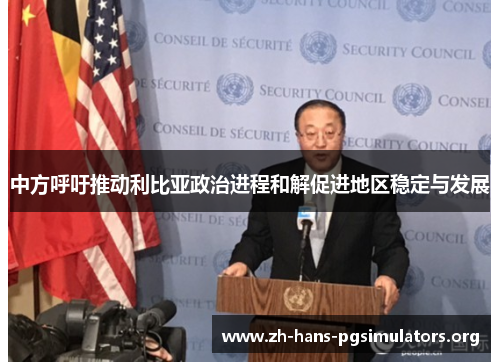 中方呼吁推动利比亚政治进程和解促进地区稳定与发展 中方呼吁推动利比亚政治进程和解促进地区稳定与发展