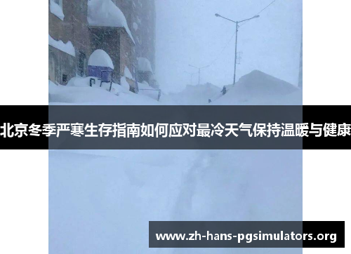 北京冬季严寒生存指南如何应对最冷天气保持温暖与健康