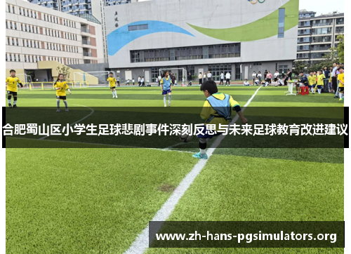 合肥蜀山区小学生足球悲剧事件深刻反思与未来足球教育改进建议