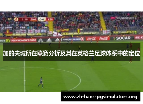 加的夫城所在联赛分析及其在英格兰足球体系中的定位 加的夫城所在联赛分析及其在英格兰足球体系中的定位